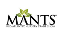 Photo: MANTS