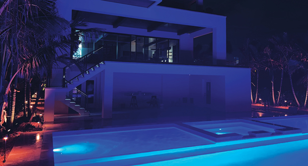 Lee says blue and purple are popular light colors outside of turtle season to complement the pool’s aesthetics. Photo: Landscapes by Randy Lee