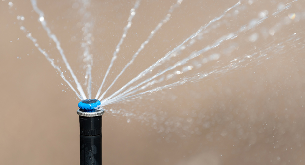 (Photo: Byrdyak/ iStock / Getty Images Plus/ Getty Images)