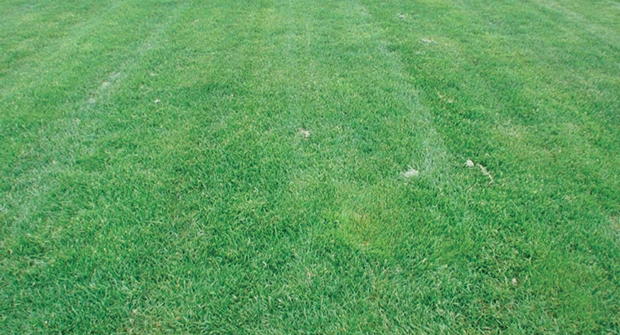 Give it a go: Plant growth regulators are an underutilized tool for lawn care operators looking to manage turf growth. (Photo: Nufarm)