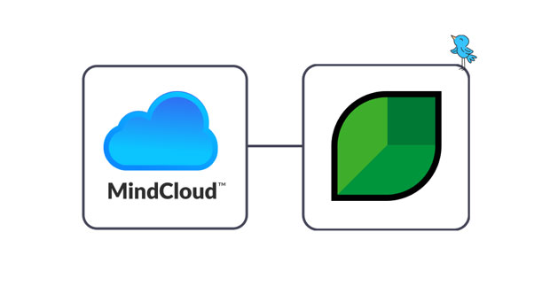 Graphic: MindCloud