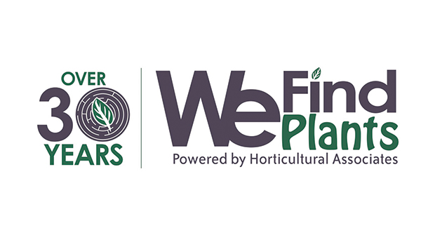 Photo: We Find Plants