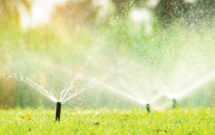 (Photo: Fahroni / iStock / Getty Images Plus / Getty Images)