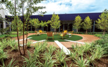Smith had to remove the existing river birch trees in the atrium and replace them with new ones. Clara hawthorn, variegated flax lilies, sandy leaf fig for ground cover, Lily of the Nile and more rounded out the rest of the vegetation used. (Photos: Bryan Malloch Photography)