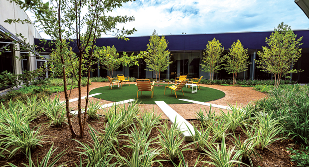 Smith had to remove the existing river birch trees in the atrium and replace them with new ones. Clara hawthorn, variegated flax lilies, sandy leaf fig for ground cover, Lily of the Nile and more rounded out the rest of the vegetation used. (Photos: Bryan Malloch Photography)