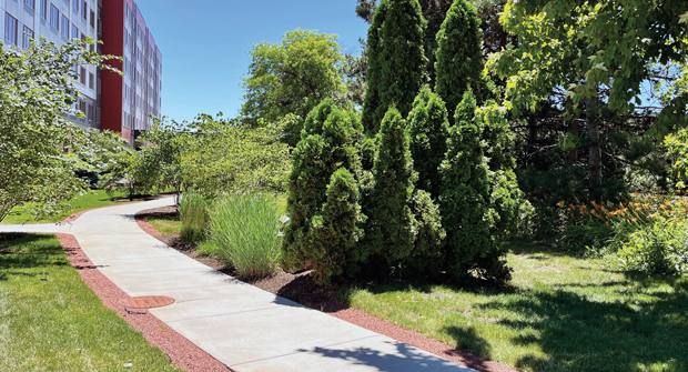 Safety and accessibility for residents was a major goal for the project, and compacted gravel was used to widen the pathways for those using wheelchairs or walkers.