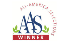 Logo: All-America Selections