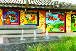 A mural on the side of the Sunkist Building acknowledges the site’s long history. (Photo: Goldenstate Landscapes)