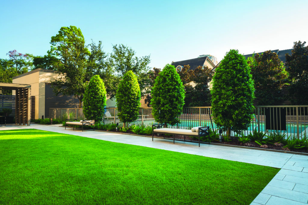 Little gem magnolia trees are used to provide some extra privacy from nearby condominiums. Tree fertilizations and systemic insecticides are used on the magnolias as part of the plant health care program. (Photo: Monarch Landscape Management)
