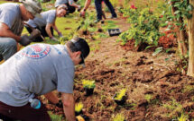 HighHopes donated the plant material that was used in the Day of Service renovation. (Photo: HighGrove Partners)