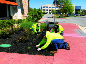 Innovation and a focus on quality has sparked E&F Landscaping’s rapid rise among companies in the Mid-Atlantic region. (Photo: E&F Landscaping)