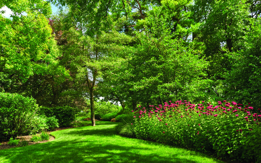 LoBello says it wasn’t a heavy planting project, but they did install ornamental grasses for the prairie aesthetic, hawthorn species and a perennial garden. Plantings had to be deer resistant. (Photo: Tony Soluri)