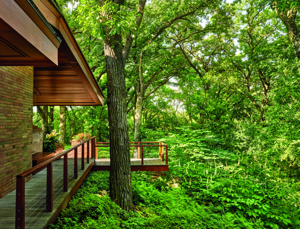 The property is located on a hilltop with severe elevation changes. LoBello says water played a factor in the renovations, as storms and rains were quick to wash away their work on the hillsides.(Photo: Tony Soluri)
