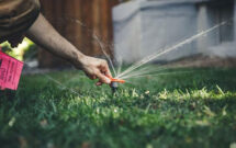 Sprinkler Head (Photo: SiteOne Landscape Supply)