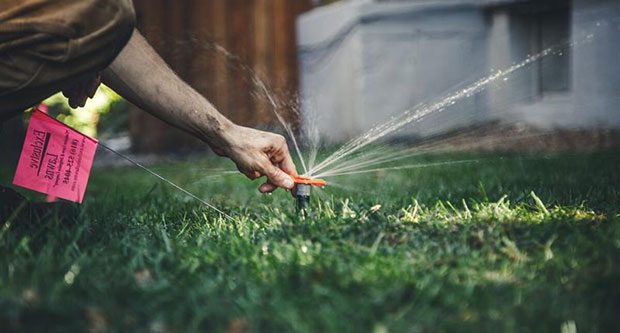 Sprinkler Head (Photo: SiteOne Landscape Supply)