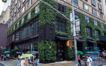 Behringer says it’s inevitable that some plants won’t survive the winter, but thanks to many years of managing the wall and diligent monitoring, they can accurately predict how much will need replacing. (Photo: John Mini Distinctive Landscapes)