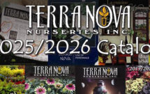 Photo: Terra Nova Nurseries
