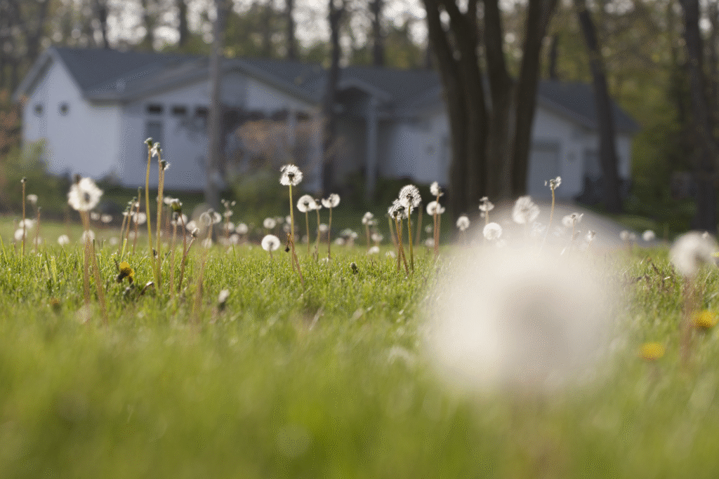 Photo: by Corteva