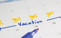Photo: somkku / iStock / Getty Images Plus / Getty Images