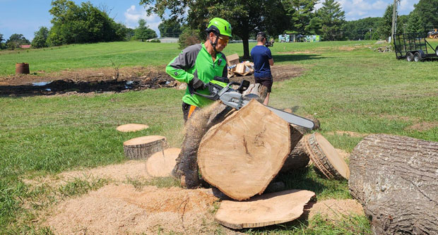 Ken Palmer, owner of ArborMaster Training, gave an electrifying performance of how powerful battery chainsaws can be. (Photo: LM Staff)