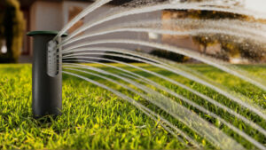 Photo: Irrigreen