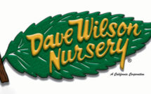 Logo: Dave Wilson Nursery