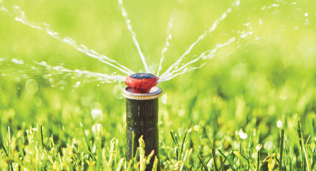 Photo: CatLane / iStock / Getty Images Plus / getty images