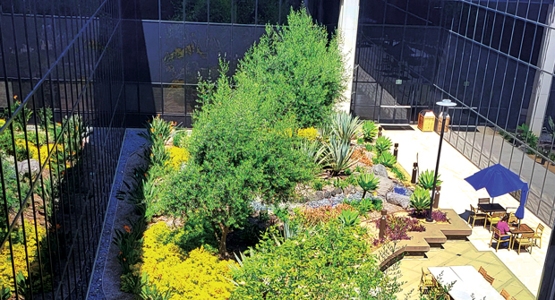 Lopez says a key part of the landscape design is to be colorful and creative, allowing ideas to flow for the people working there. (Photo: © 2025 Sony Pictures Entertainment. All Rights Reserved. Courtesy of Cadre Landscape)