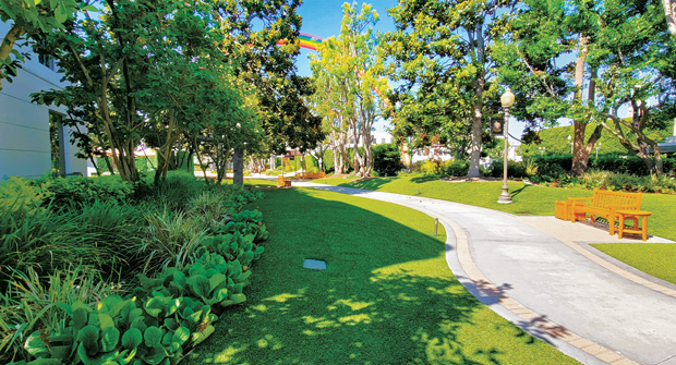 Fernando Ramirez, maintenance manager for Cadre Landscape, says sustainability was a key goal, with native grasses and flowering perennials that can survive the California climate being common throughout the site. (Photo: © 2025 Sony Pictures Entertainment. All Rights Reserved. Courtesy of Cadre Landscape)