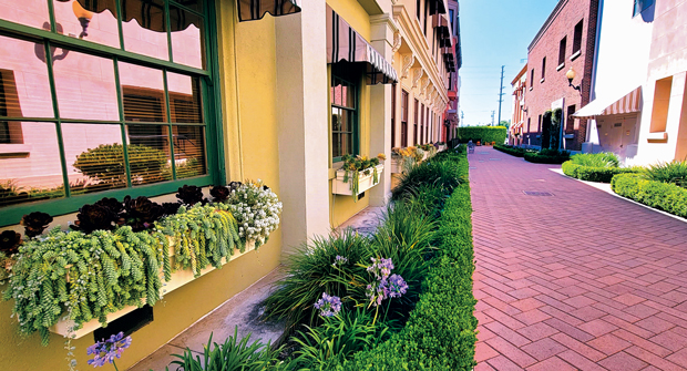 “We have to create schedules for the guys weekly — a punch list,” Ramirez says. “If there's anything they need, we have to have the urgency to take care of it immediately and respond to the client as soon as possible.” (Photo: © 2025 Sony Pictures Entertainment. All Rights Reserved. Courtesy of Cadre Landscape)