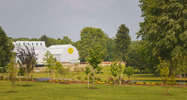 Photo: The Davey Tree Expert Company