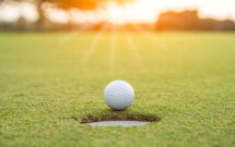 Photo: DSCimage/iStock / Getty Images Plus/Getty Images