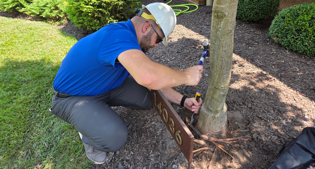 Arborist representative John Parish of the new St. Louis office. (Photo: Bartlett Tree Experts)