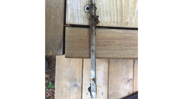 Moist, not dry or soggy is ideal for tree roots. (Photo: John C. Fech)