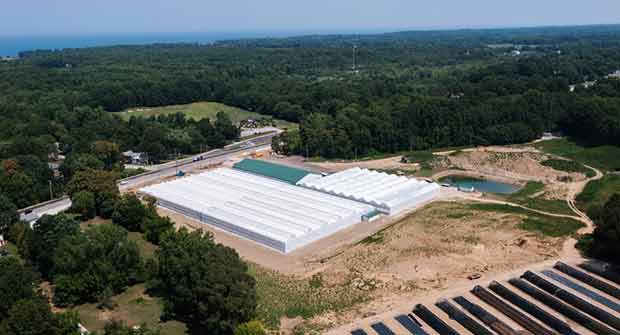 Photo: Petitti Family Farms