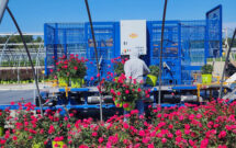 New automations and tools have rapidly increased Petitti Family Farms' efficiency. (Photo: LM Staff)
