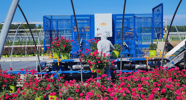 New automations and tools have rapidly increased Petitti Family Farms' efficiency. (Photo: LM Staff)