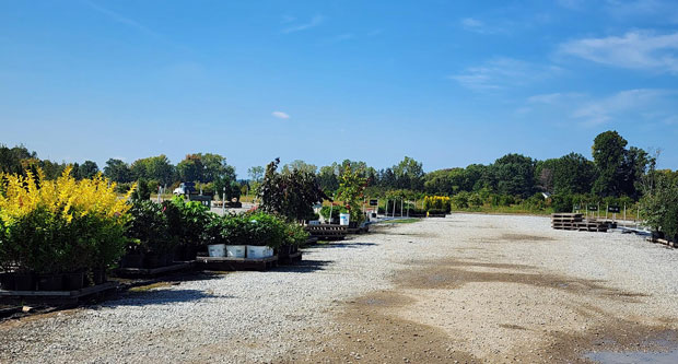 Customers can pick up their orders at these on-site plots before shopping next door for any add-ons. (Photo: LM Staff)