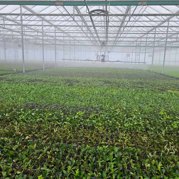 Photo: Petitti Family Farms