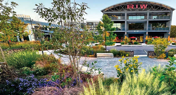 While Watts enjoys the challenge of experimenting with native plants and maintaining them on the property, she also highlights the successful collaborations with Future Green Studio's Max Cohen, the landscape architect who designed the site. (Photo: Myatt Landscaping and Construction)