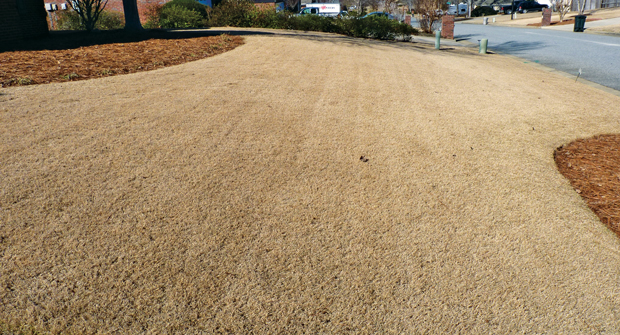 Proper turf maintenance is the first step in preventing weeds. (Photo: TruGreen)