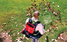Advances in technology have accelerated the adoption of battery-powered equipment in the landscape and lawn care industry. (Photo: Kress)