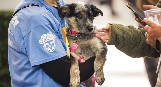 The TurfMutt Foundation again presented a dog adoption event at Equip Expo in partnership with the Kentucky Humane Society. (Photo: Kylene White/Guardian Owl Digital)