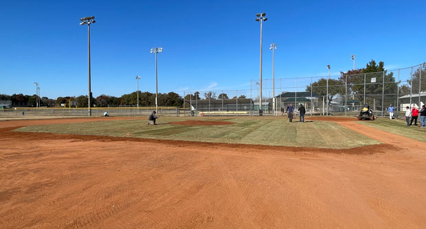 Photo: Project EverGreen