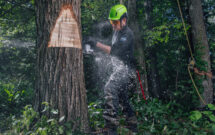 Photo: Greenworks Commercial