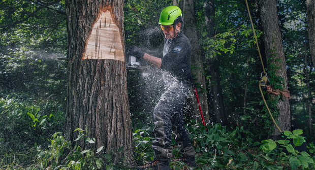 Photo: Greenworks Commercial