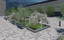 Trees not only add aesthetic beauty but also provide practical benefits. (Photo: Vectorworks)