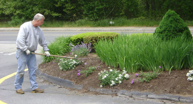 Mark Harmon. (Photo: Harmon and Sons)