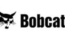 Logo: Bobcat