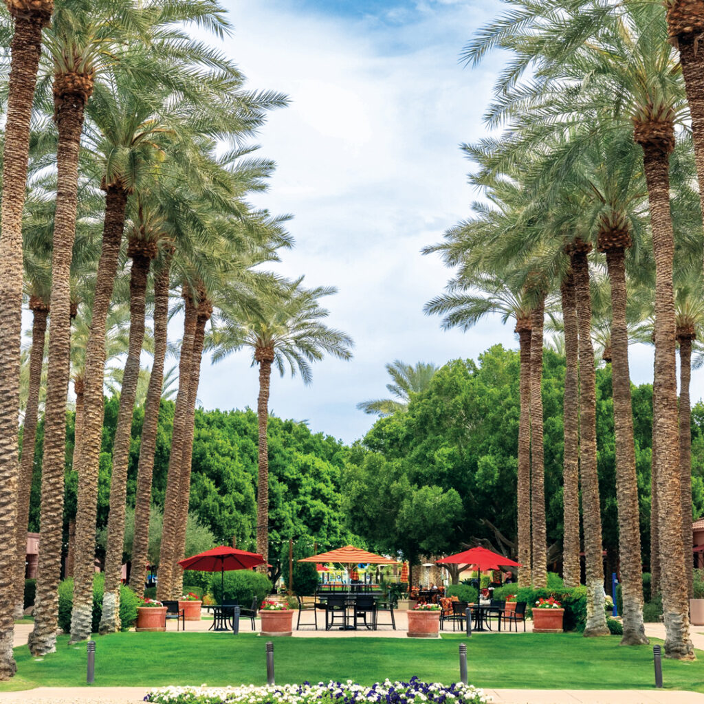 The ever-busy Sonoran Plaza blends recreational areas with meeting space, and it’s one of the many areas that show why extra attention to resident and crew safety is necessary. (Photo: Gothic Landscape)